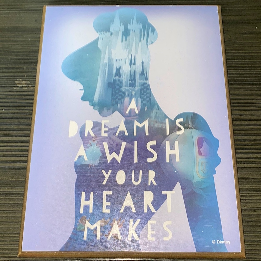 Disney Wall decor art - Cinderella